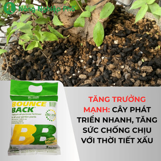 Phân hữu cơ Bounce Back phân tan chậm dạng viên - Gói 1kg - Nông Nghiệp Phố