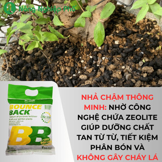 Phân hữu cơ Bounce Back phân tan chậm dạng viên - Gói 1kg - Nông Nghiệp Phố