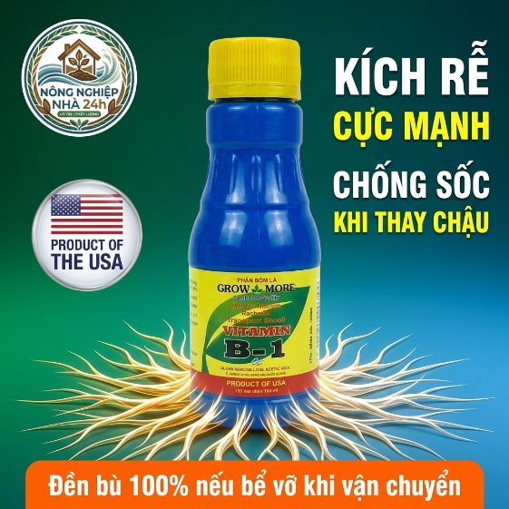 B1 Growmore 100ml – Vitamin B1 Kích Rễ, Chống Sốc, Phục Hồi Cây Trồng, Xanh Lá Mạnh