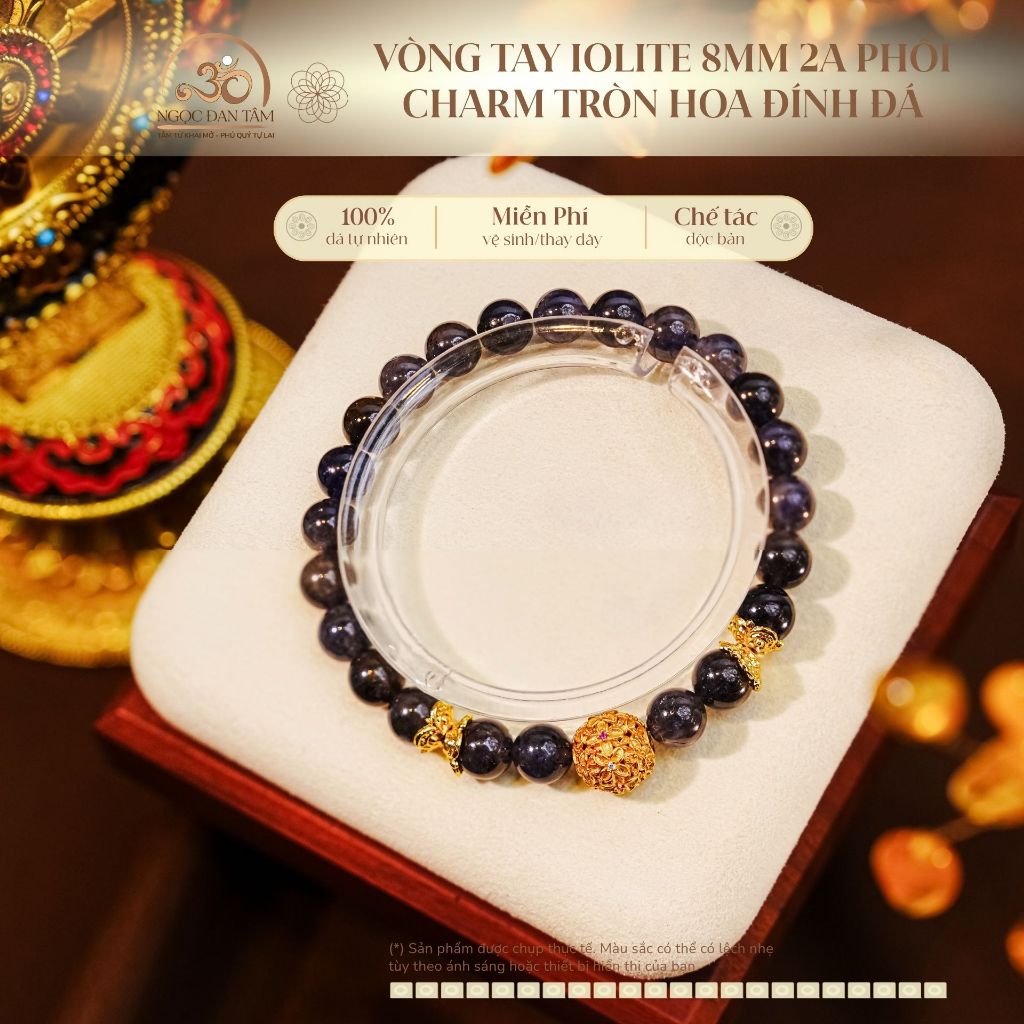 Ngọc Đan Tâm - Vòng Tay Iolite 8mm 2A Phối Charm Tròn Hoa Đính Đá
