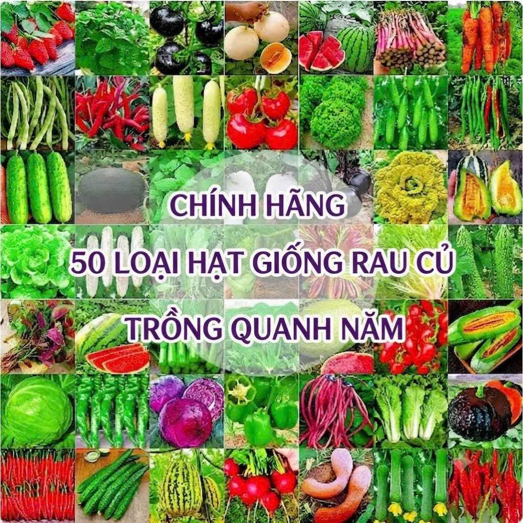#Hạt giống rau củ quả dễ trồng bốn mùa có hướng dẫn ươm hạt giống chi tiết