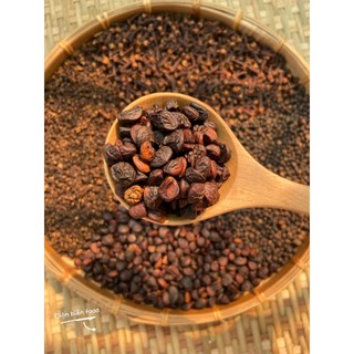 Hạt Dổi Nếp rừng, Gia Vị Tây Bắc Điện Biên -Điện Biên Food