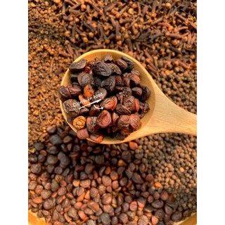 Hạt Dổi Nếp rừng, Gia Vị Tây Bắc Điện Biên -Điện Biên Food