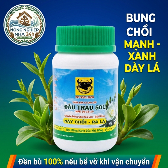 PHÂN BÓN LÁ ĐẦU TRÂU MK 501 NPK 30-15-10+TE - CHUYÊN DÙNG CHO HOA LAN & CÂY CẢNH - NẢY CHỒI, RA LÁ