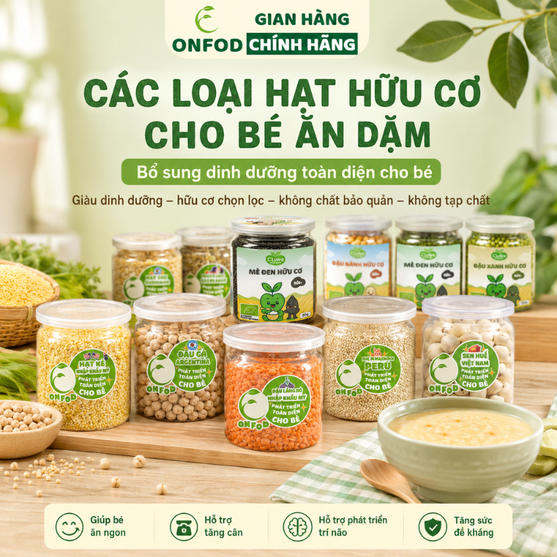 Các loại hạt dinh dưỡng ONFOD cho bé ăn dặm yến mạch hạt chia đậu gà đậu hà lan hạt kê đậu lăng đỏ