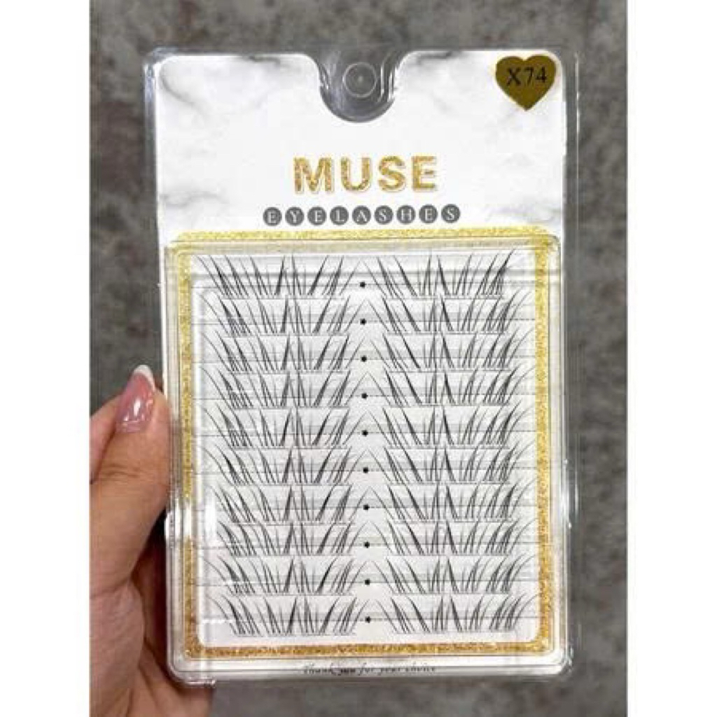 MUSE X74 – Golden Hour