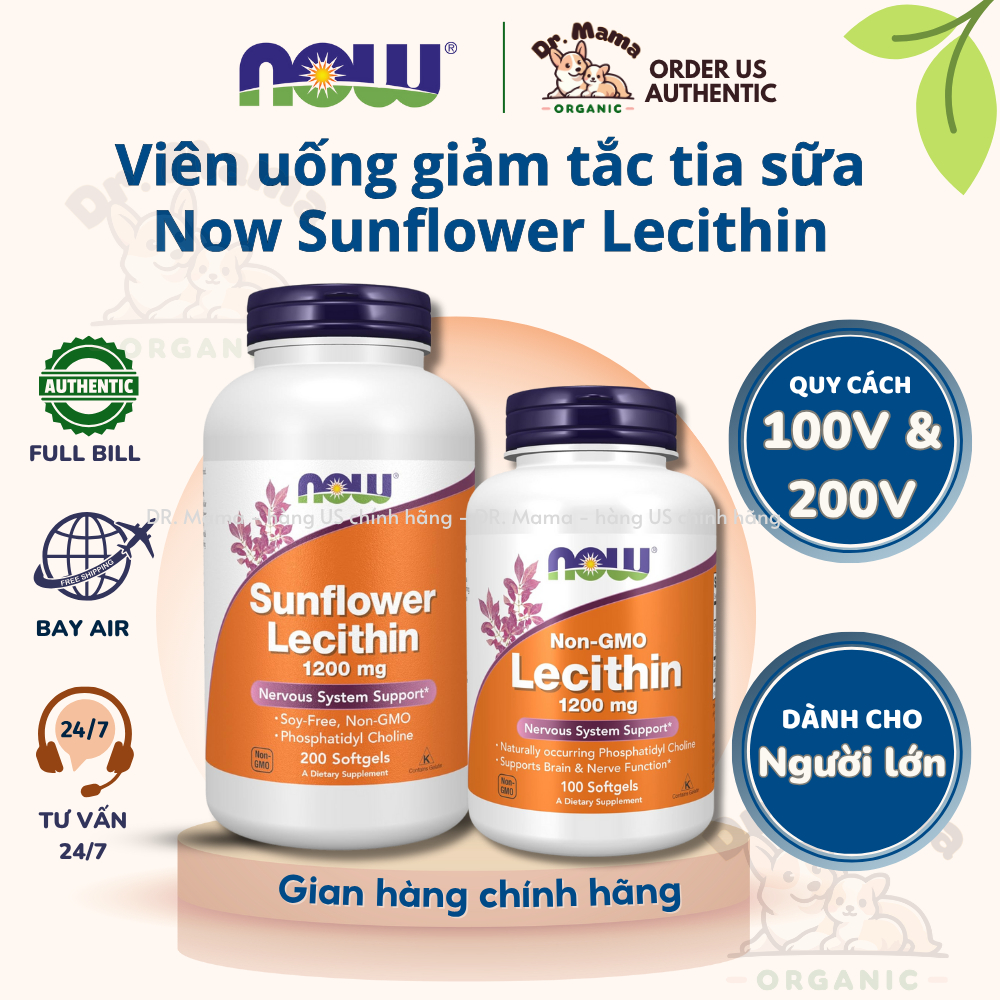 Viên Uống Chống Tắc Tia Sữa Sunflower Lecithin 1200mg Now Food - Hàng Mỹ