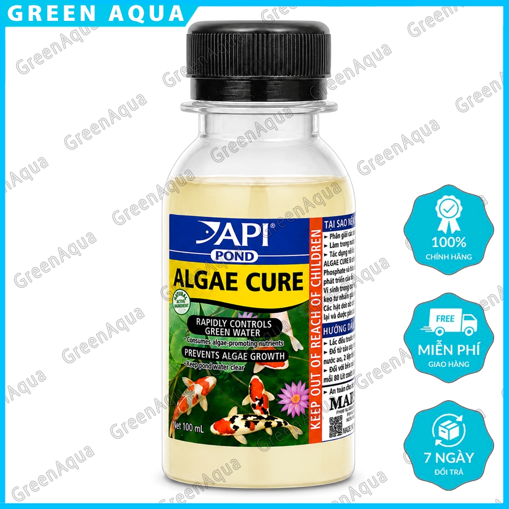 Vi sinh API - Pond Algae Cure xử lý an toàn & hiệu quả rêu tảo làm xanh nước hồ cá cảnh thủy sinh