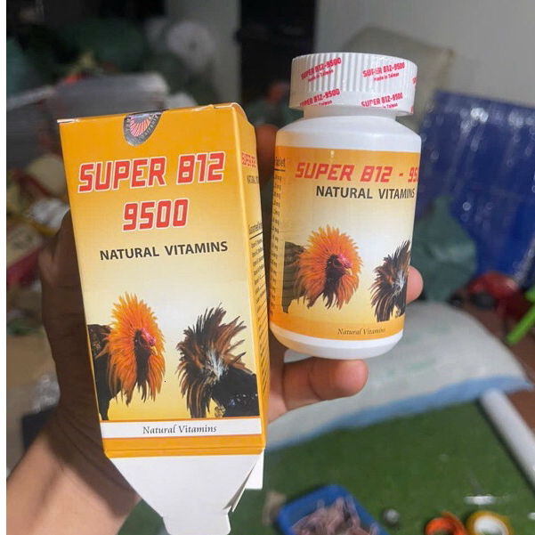 Super b12 9500 dùng chp gà trước khi ra trận