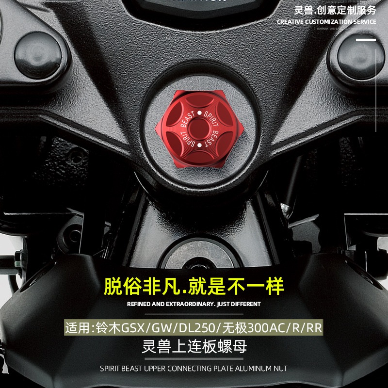 Ốc Vít Spirit Beast L2 Suzuki Gsx 250r Gw250 Dl250 Rine 300ac 300r 300rr