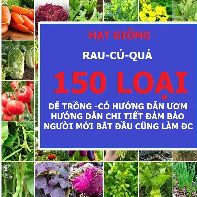 Hạt Giống Dưa – Dưa Hấu, Dưa Chuột, Dưa Lưới, Dưa Lê,dưa chuột,dưa hấu dễ trồng túi zíp