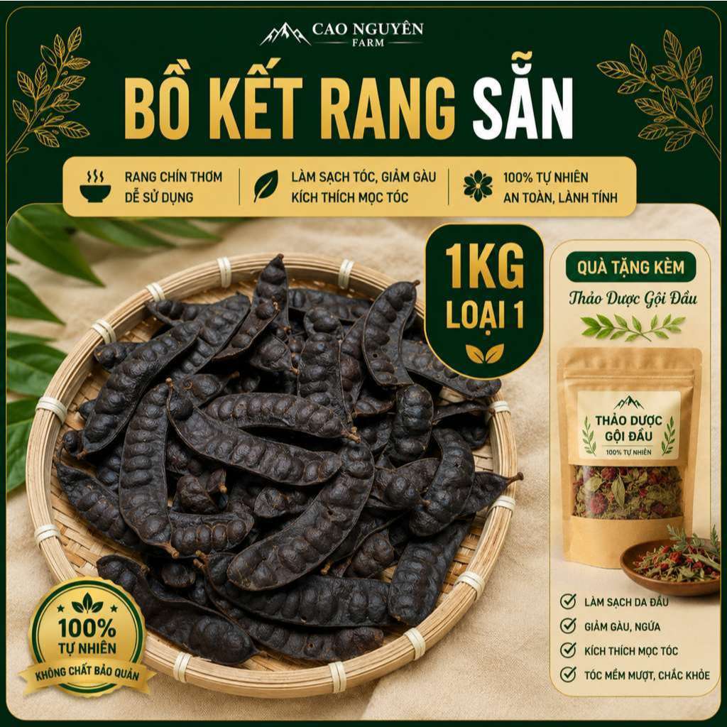 Bồ kết rang sẵn gội đầu – Bồ kết nướng, nấu là dùng tiện lợi – Bồ kết rừng Tây Bắc thơm đậm.