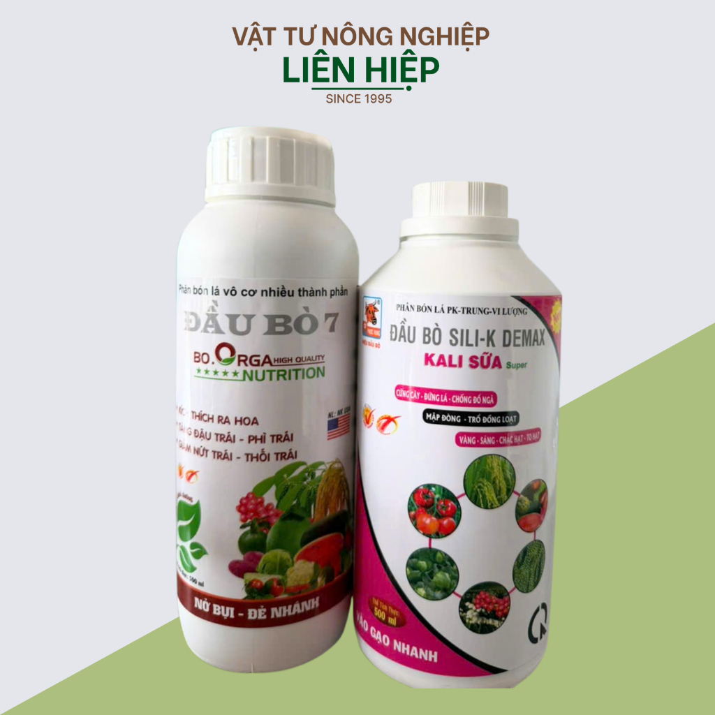 BỘ VÔ GẠO BÁ ĐẠO ĐẦU BÒ. (1 bộ sử dụng 1hecta)