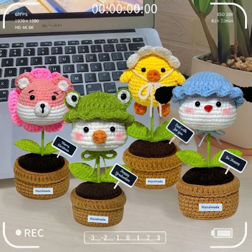 GIFTBOX CHẬU THÚ LEN ĐỂ BÀN HANDMADE DỄ THƯƠNG LÀM QUÀ TẶNG CÁC DỊP LỄ, SINH NHẬT, TỐT NGHIỆP, KỶ YẾ