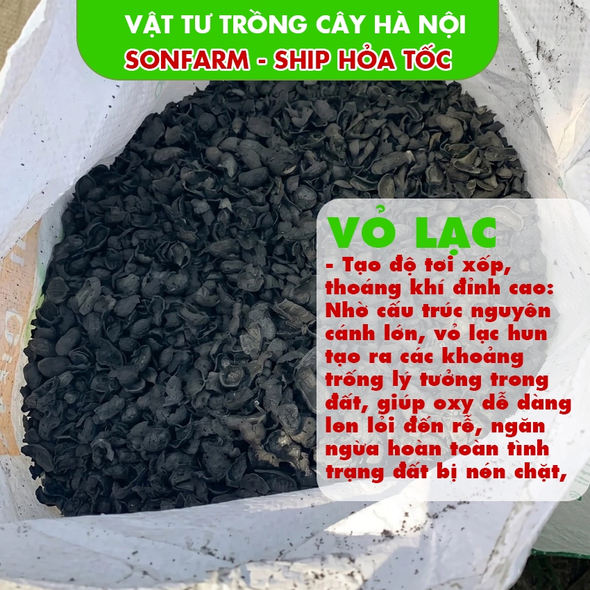 [500gr]Vỏ Lạc Hun Nguyên Cánh Trồng Cây - Giá Thể Vỏ Đậu Phộng Hun Thoát Nước, Thoáng Khí Cho Sen Đá
