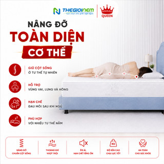 Nệm Lò Xo Phoenix Vạn Thành - Độ Cao 22cm, Bảo Hành Chính Hãng 6 Năm