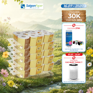 Combo 5 lốc Giấy vệ sinh Bless You Lamour 10 (10 cuộn/ lốc)