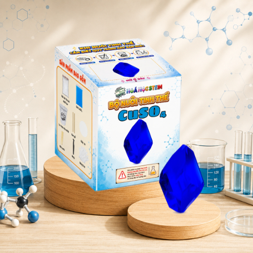 Combo nuôi tinh thể CuSO4 [STEM]