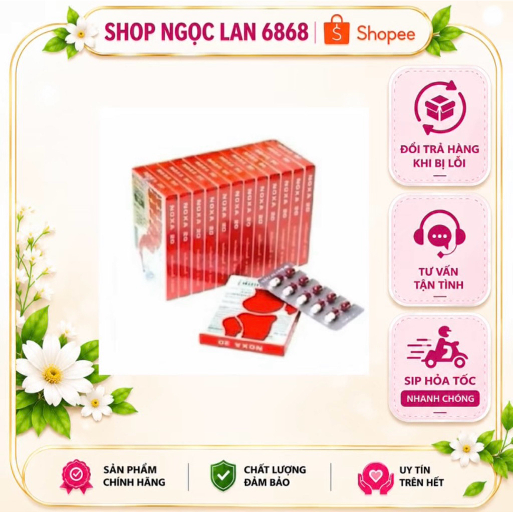 Lốc 12 hộp bánh khớp noxa,20 nội địa Thái Lan