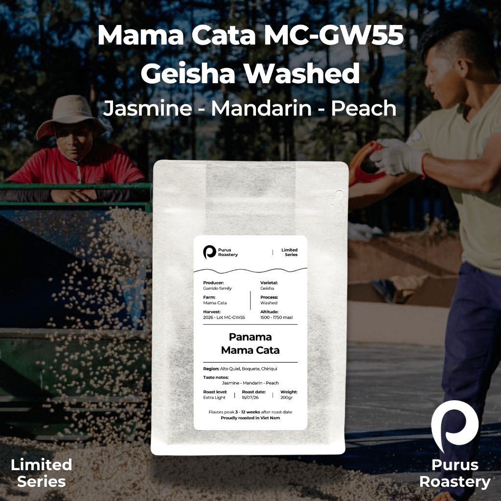 [LIMITED] Cà phê đặc sản Panama Mama Cata MC-GW55 | Giống Geisha sơ chế Washed | Extra Light Roast