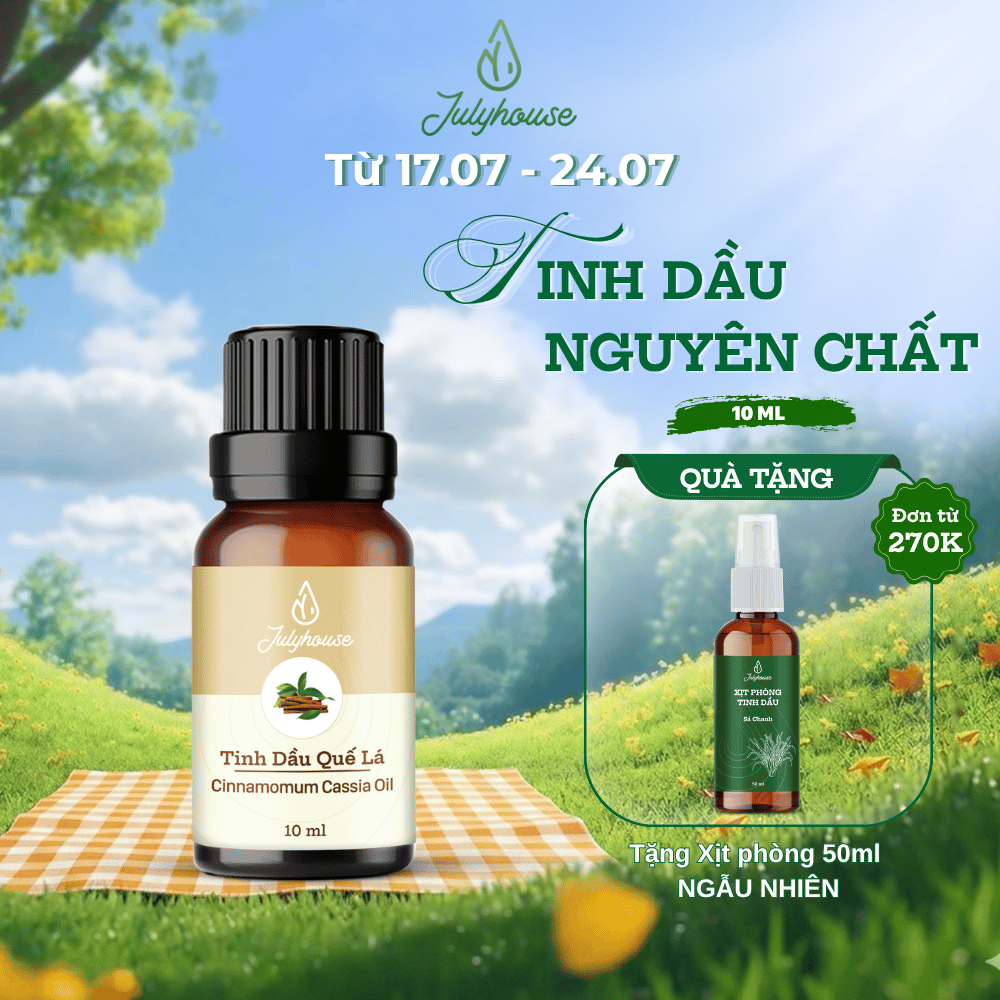 Tinh dầu Quế Yên Bái 10ml JULYHOUSE