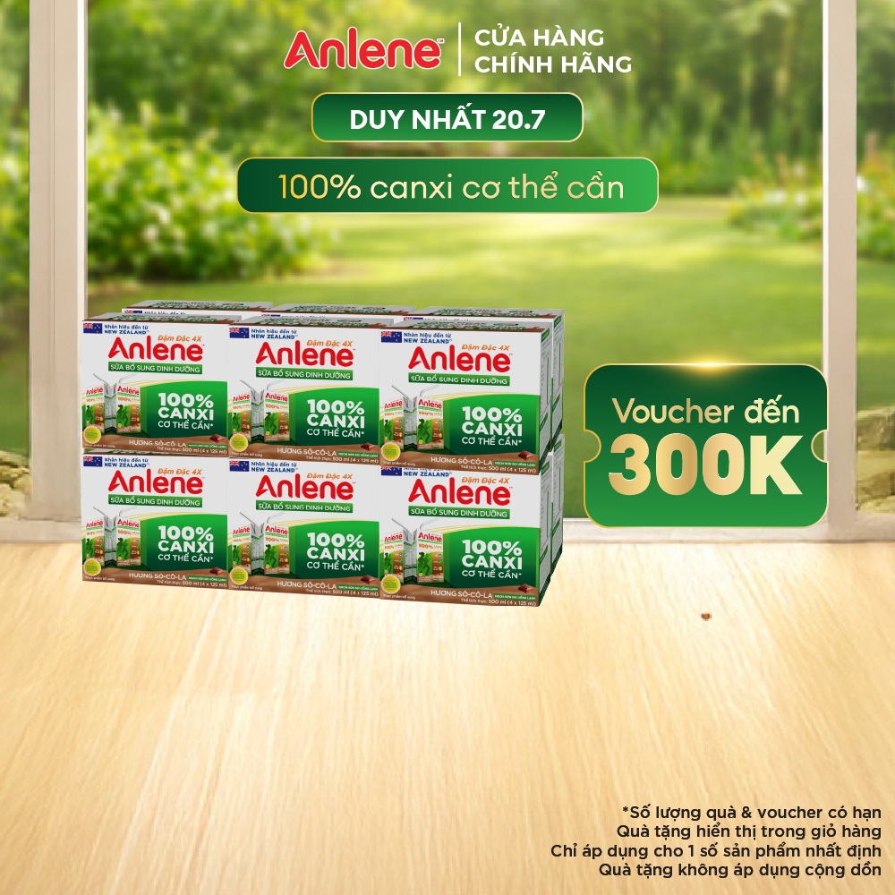 Thùng 48 hộp sữa nước Anlene hương Sô - cô - la đậm đặc 110ml