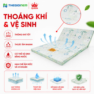 Nệm Bông Ép Vạn Thành - Vải Cotton (Màu Ngẫu Nhiên)