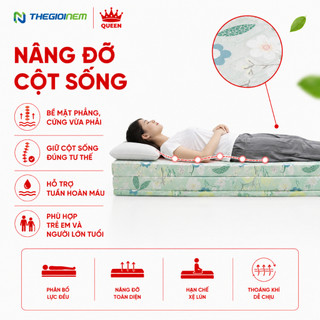 Nệm Bông Ép Vạn Thành - Vải Cotton (Màu Ngẫu Nhiên)