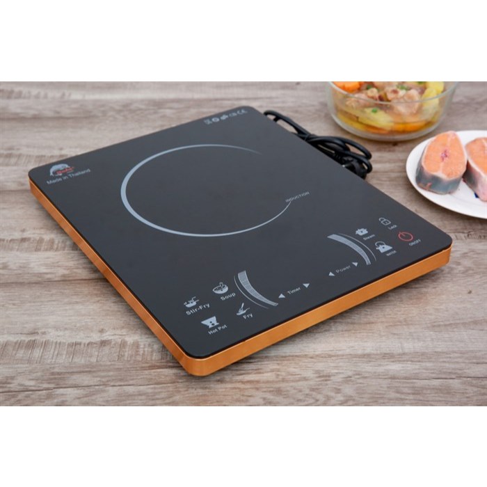 Bếp từ đơn Iruka I78