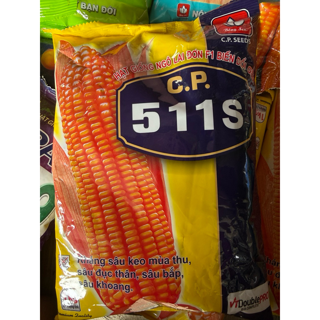 Giống ngô CP 511s biến đổi gen kháng sâu bệnh siêu năng suất đang được bà con các tỉnh ưa chuộng nhấ