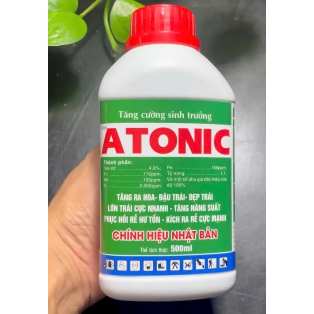 Atonic Kích Thích Sinh Trưởng Phục Hồi Cây Kích Chồi Bật Mầm 500ml