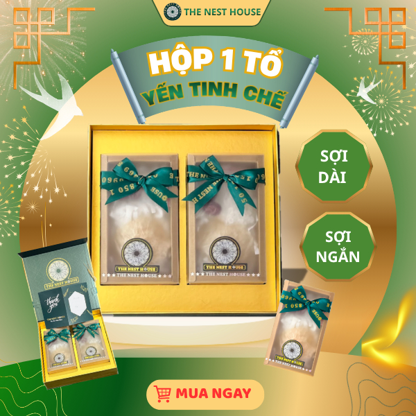 Hộp 1 tổ yến sào tinh chế cao cấp Nha Trang Khánh Hoà The Nest House