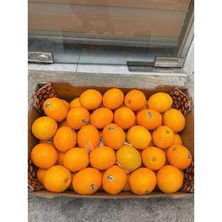 [ HỎA TỐC ] Thùng Cam nam phi lun thùng 15KG