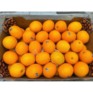 [ HỎA TỐC ] Thùng Cam nam phi lun thùng 15KG