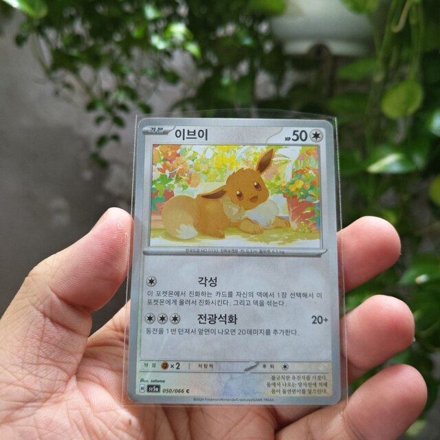 Thẻ Pokemon Korean Eevee 050/066