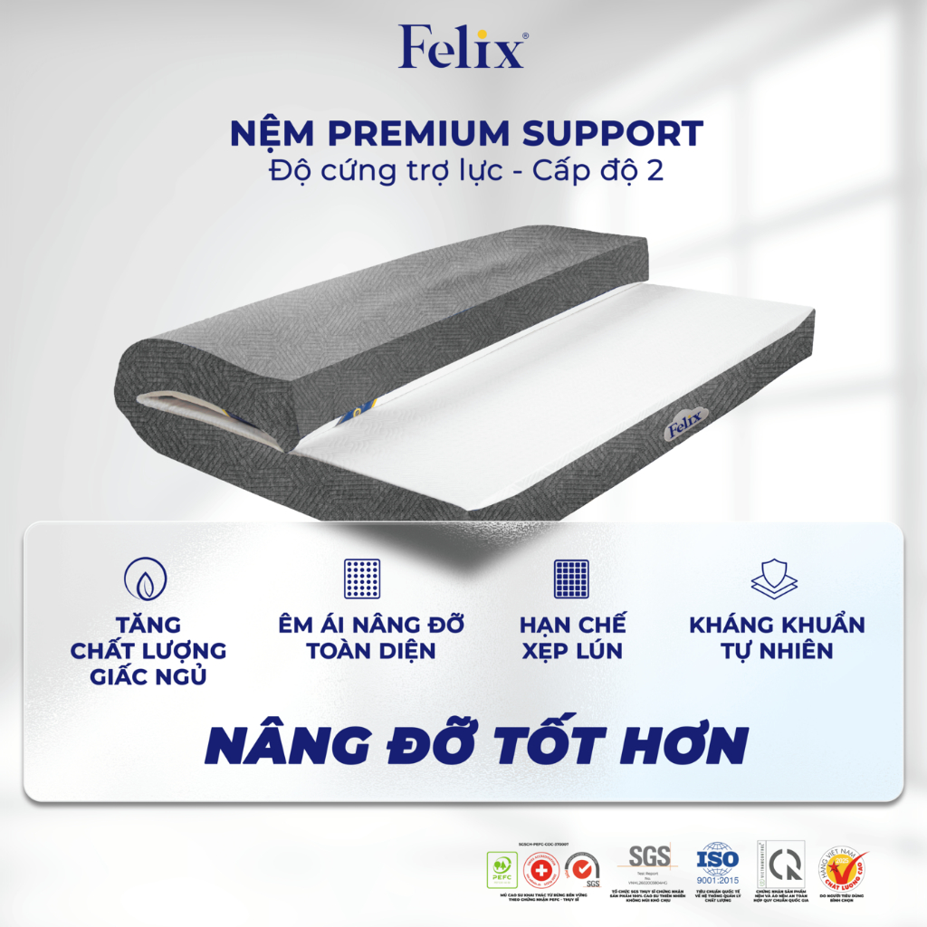 Nệm cao su thiên nhiên Felix Premium Support độ cứng trợ lực nâng đỡ cột sống [GIAO TẬN CỬA]