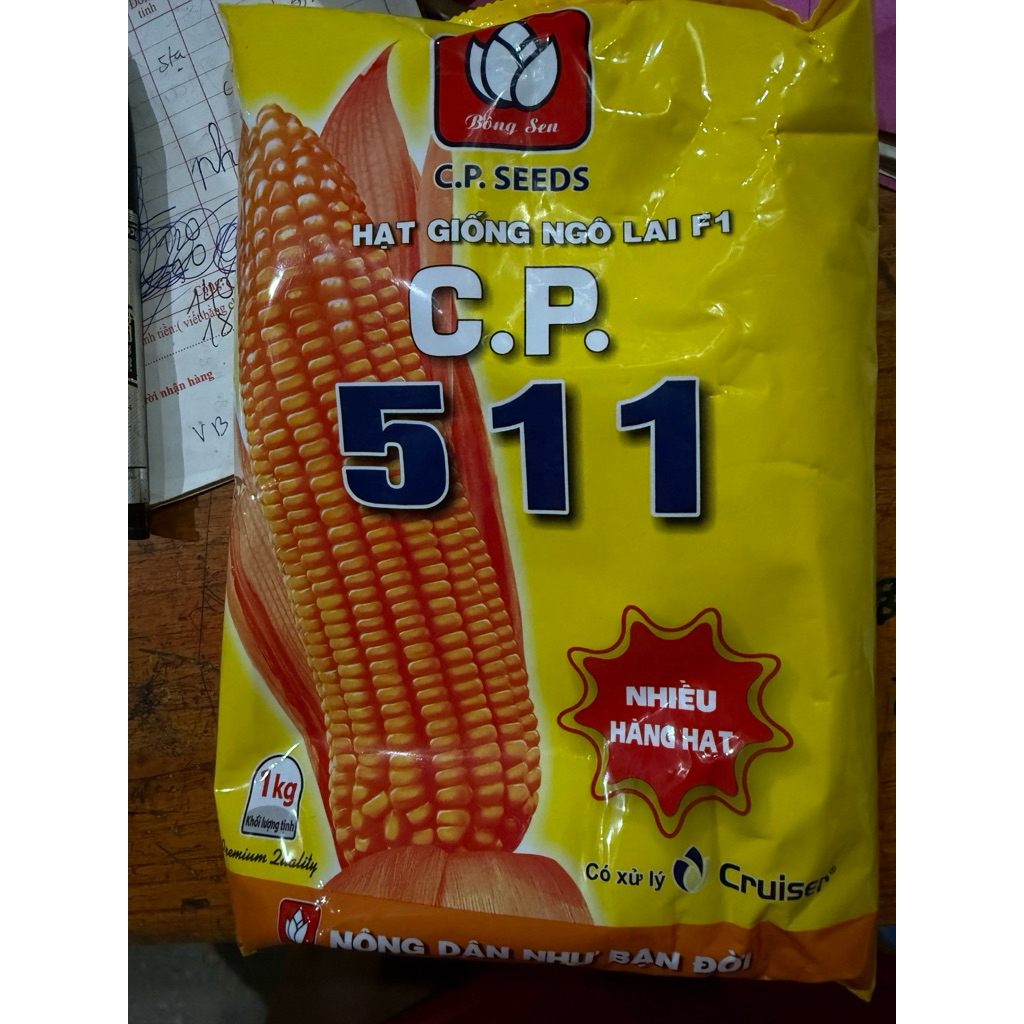 Hạt Giống Ngô Lai F1 CP 511  - Thân Cứng, Rễ Khỏe, Năng Suất Cao (Gói 1kg)