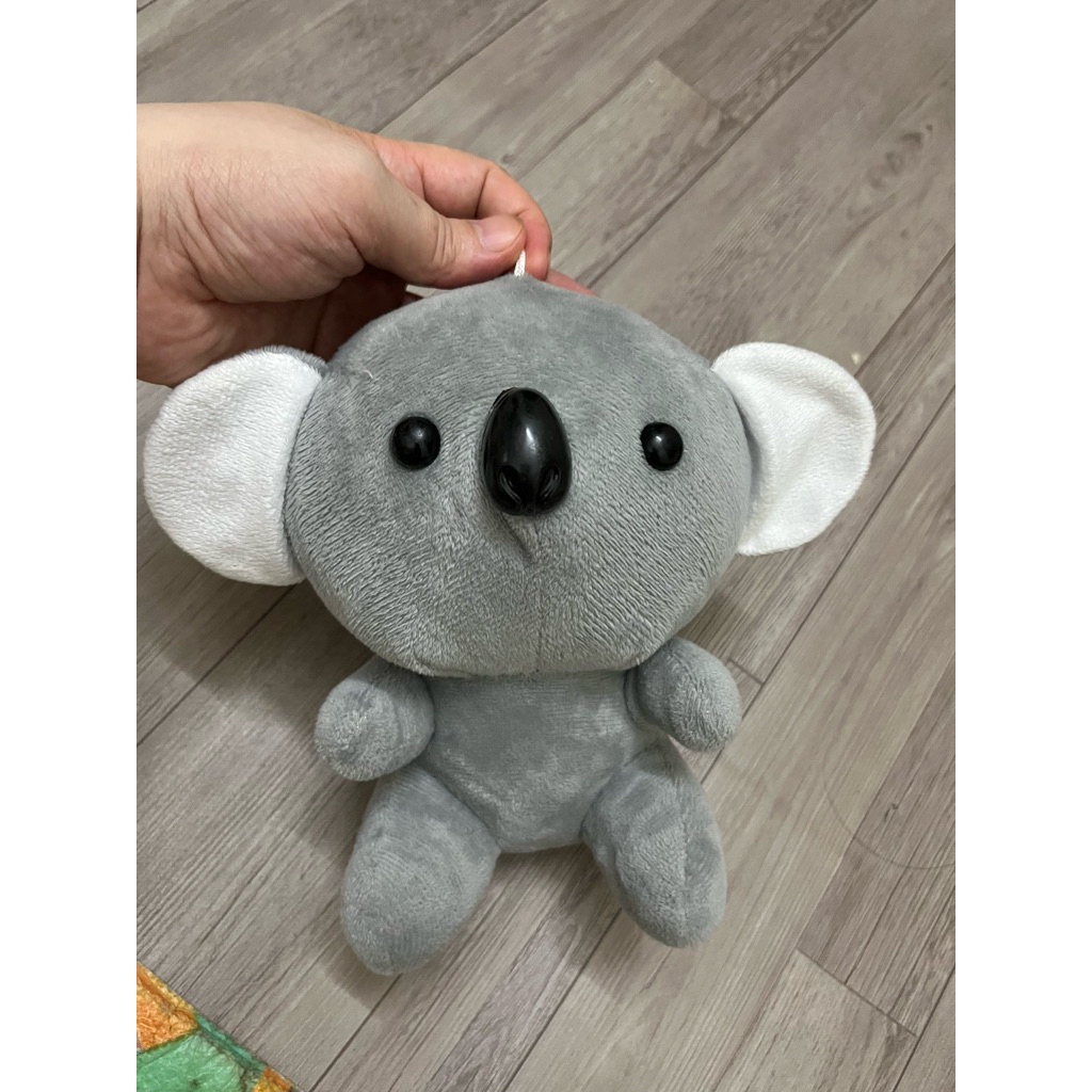 gấu bông koala