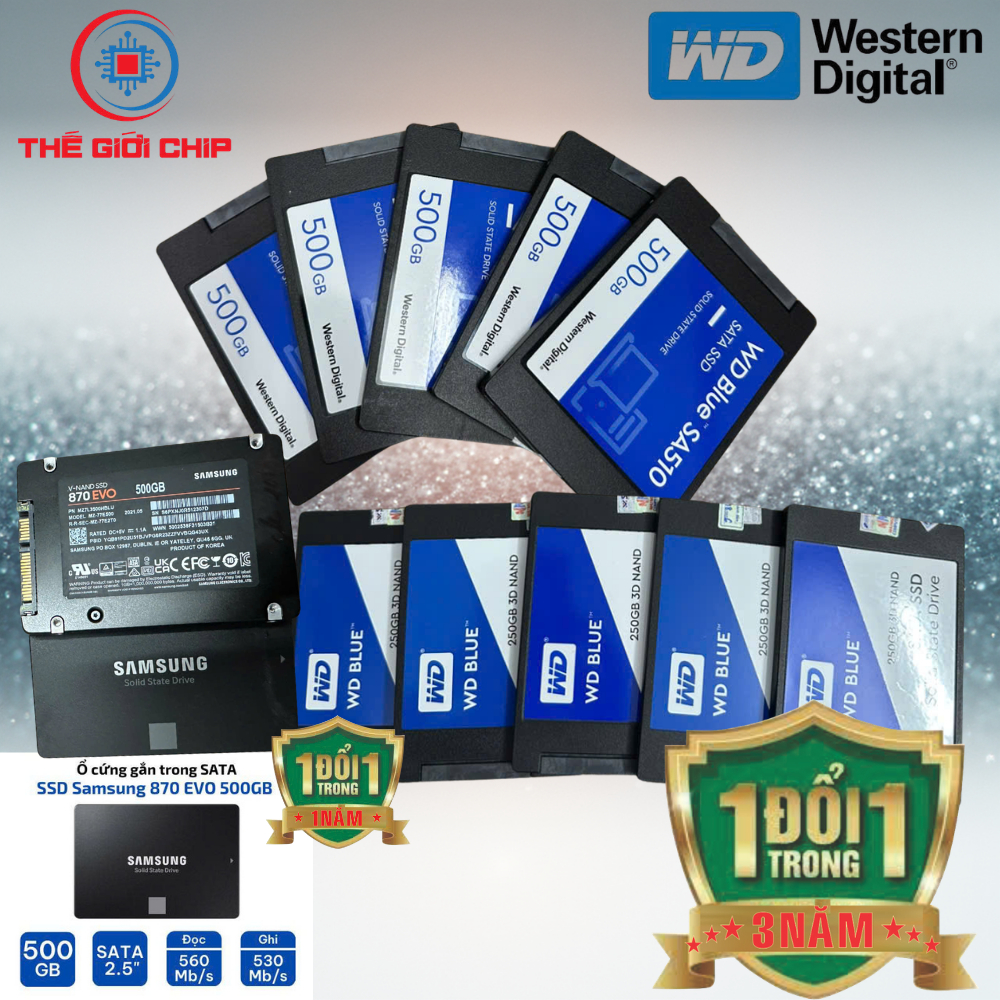 Ổ cứng SSD SATA 3 250GB*500GB Western Blue/Samsung Pro 870*2.5-Inch (No Box)*Bảo hành 3/năm WD Blue*