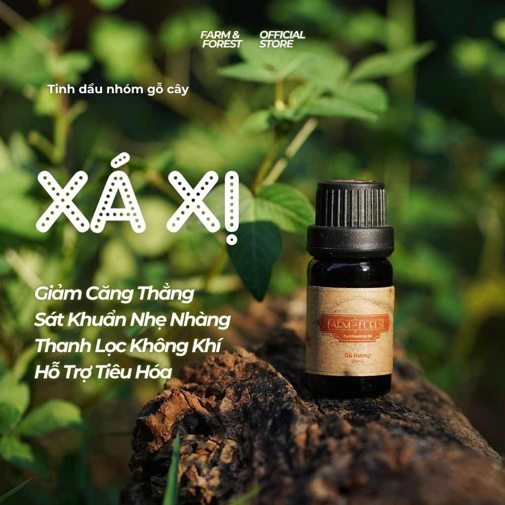 Tinh Dầu Xá Xị - Gù Hương 10ml | Tinh Dầu Nguyên Chất Farm & Forest | Mùi Hương Gỗ Xá Xị