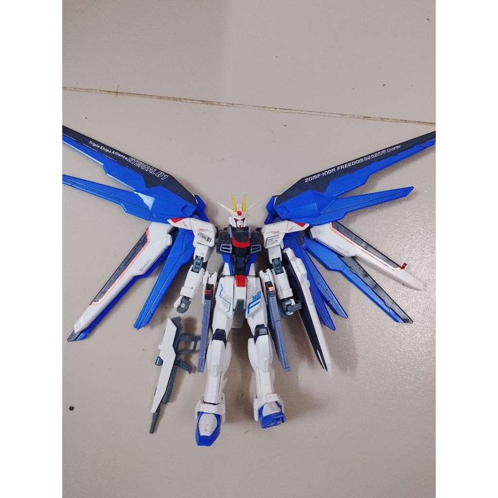 xác mô hình hg strike freedom