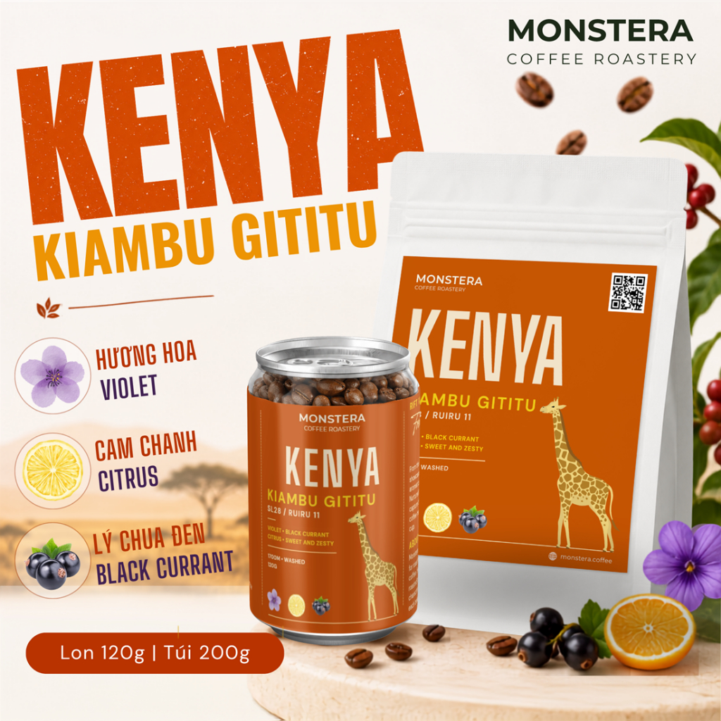 Kenya - Kiambu Gititu Factory AA - Nguyên hạt - Specialty Coffee - Monstera Roastery