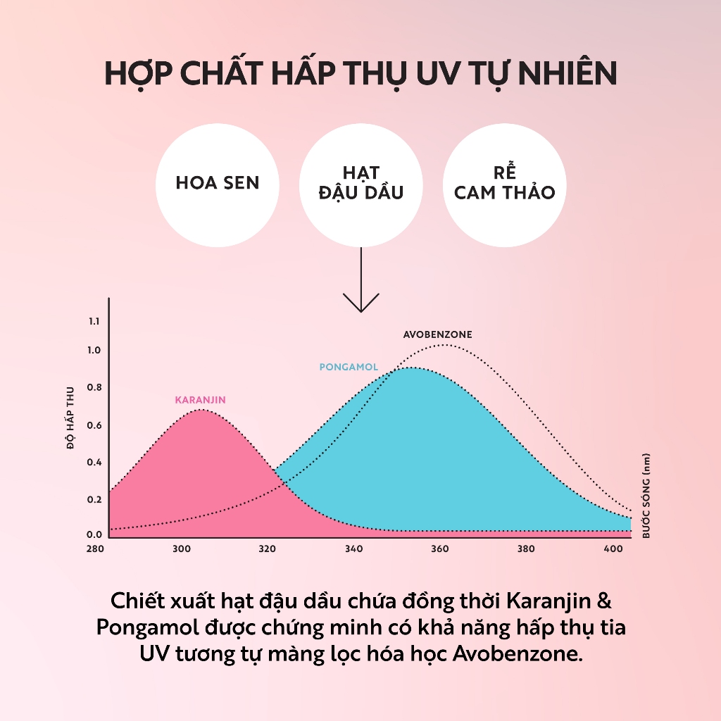 Sữa Chống Nắng Vô Cơ Sen Hậu Giang - Tone up Beige Cocoon 50ml | BigBuy360 - bigbuy360.vn