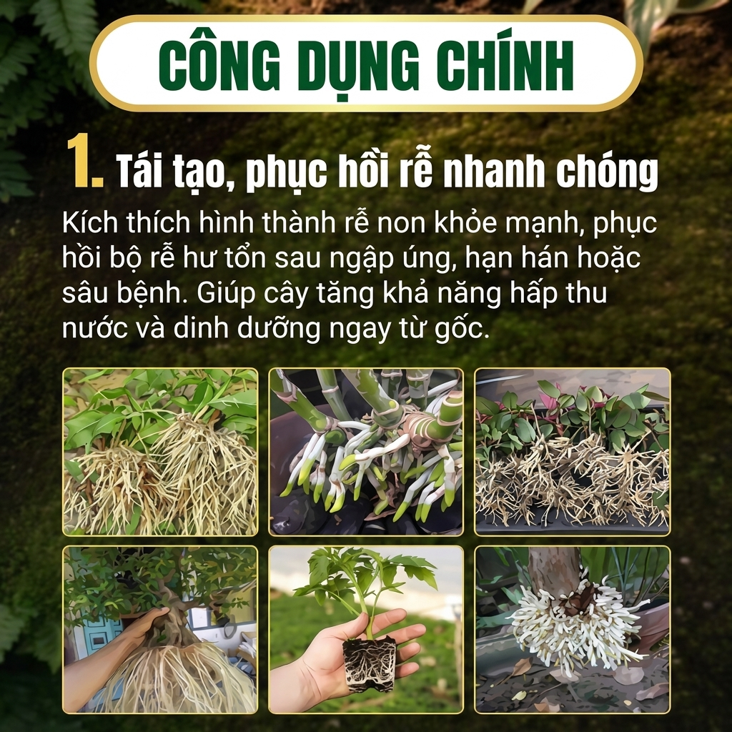 Siêu kích rễ T300 500ml - Phân Bón Kích Rễ Cây Giâm Chiết Cành Phục Hồi Cây Suy Yếu