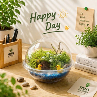 [Kèm Túi Và Thiệp] Terrarium Đĩa Bay - Quà Tặng Tiểu Cảnh - Cây Thật Dễ Chăm Sóc - Min Garden