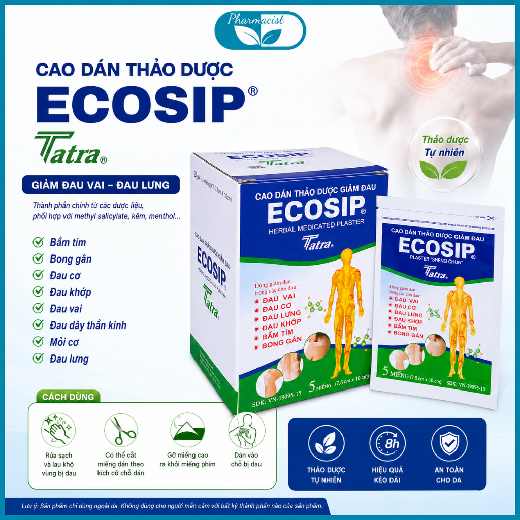 Hộp 20 gói Cao Dán Thảo Dược Giảm Đau ECOSIP Tatra