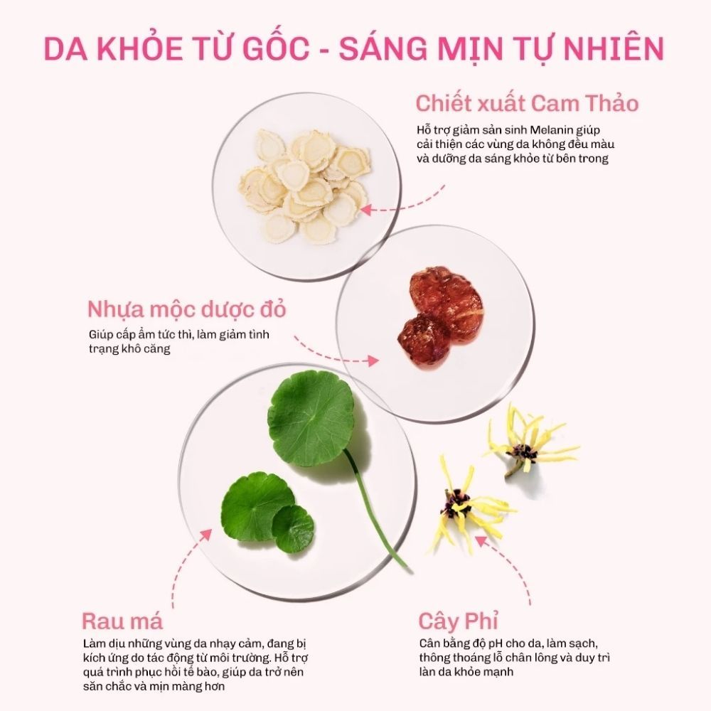Ảnh 5 của Serum dưỡng thể Lavojoy Let It Glow Daily Shine Body Serum nâng tông, cấp ẩm, dưỡng sáng, 180ml