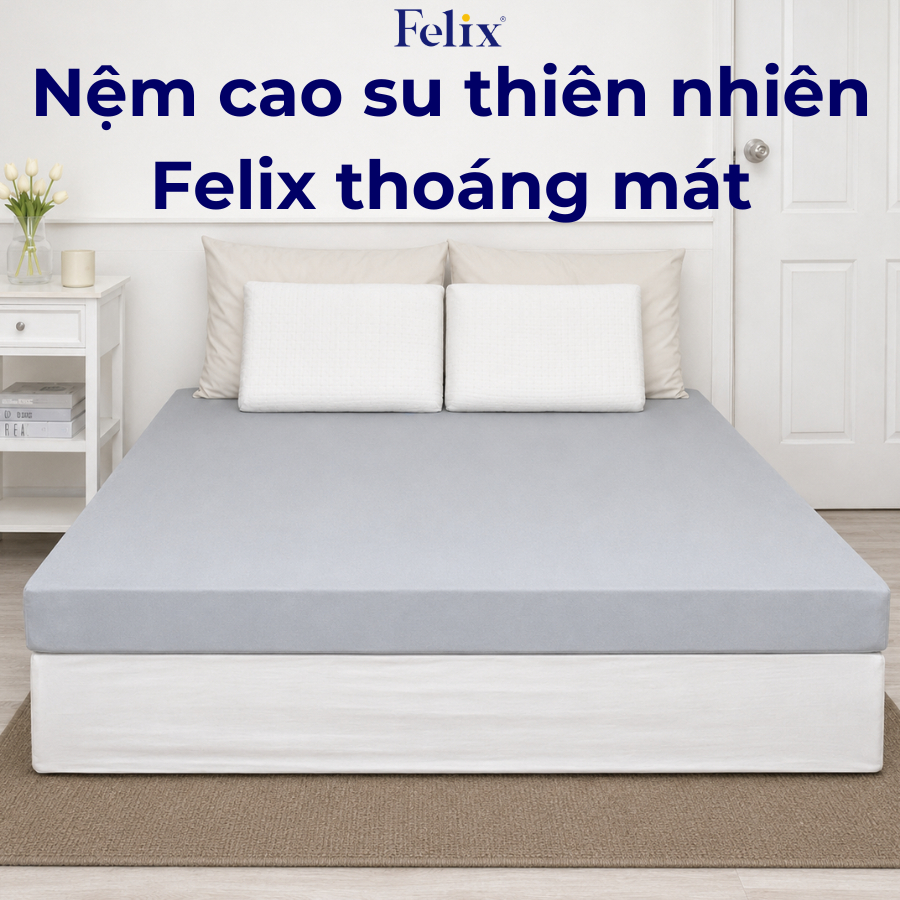 NỆM CAO SU THIÊN NHIÊN EMMA FELIX – NÂNG ĐỠ TOÀN DIỆN, THOÁNG MÁT SUỐT ĐÊM