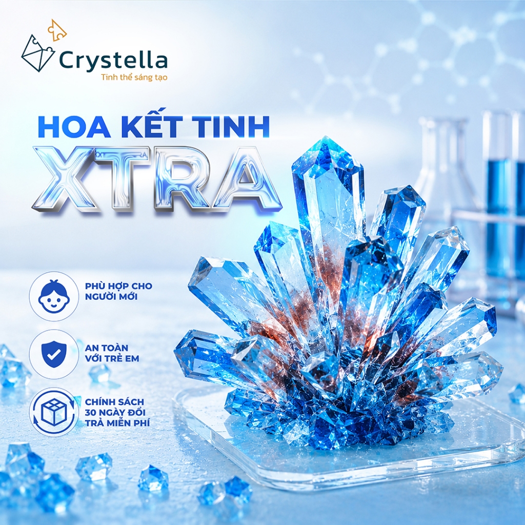 Bộ đồ chơi khoa học nuôi tinh thể KDP - Hoa Kết Tinh Xtra Crystella