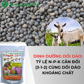 Phân dê dùng cho lan dạng túi tan chậm loại 20cm - Túi nguyên 12 dây - Nông Nghiệp Phố